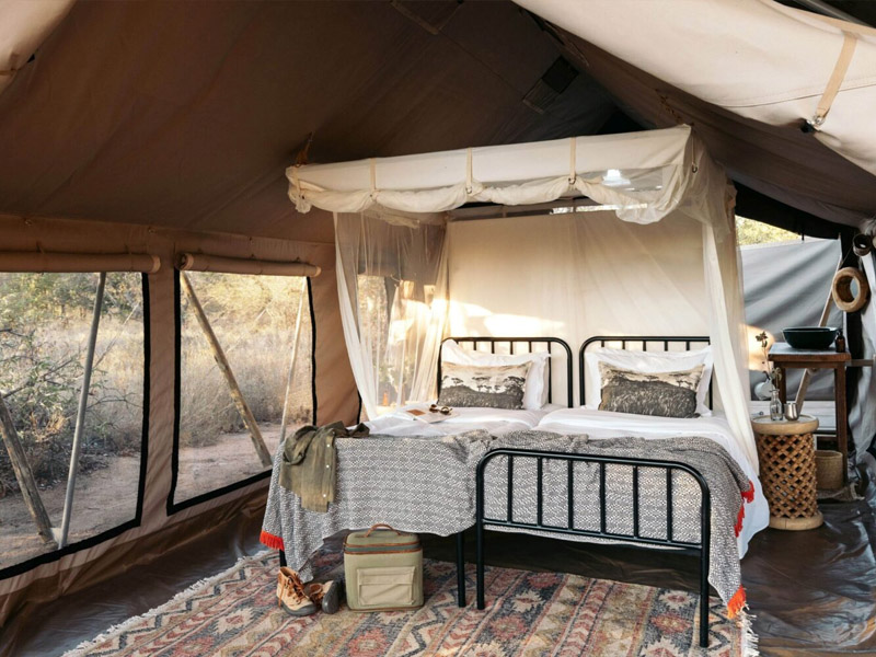 safari tent at Trails Camp