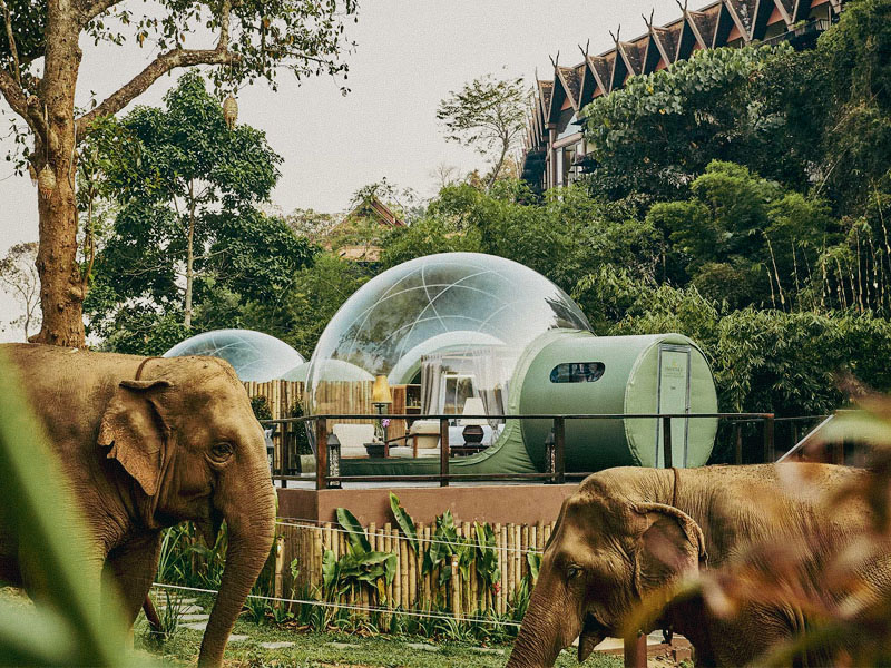 Anantara Elephant Camp & Resort